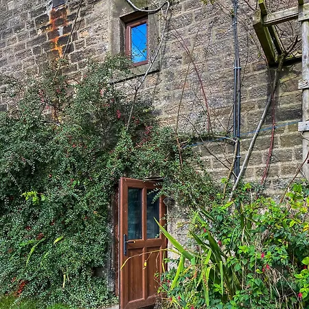 Martinsgate Snug *
